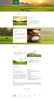 打造卓越體驗(yàn) 大家發(fā)食品網(wǎng)頁設(shè)計(jì)與軟件開發(fā)全攻略